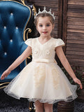 Ball Gown Tulle Short Sleeve V Neck Wedding Party Flower Girl Dresses-27dress