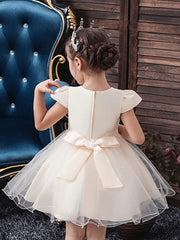 Ball Gown Tulle Short Sleeve V Neck Wedding Party Flower Girl Dresses-27dress