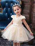 Ball Gown Tulle Short Sleeve V Neck Wedding Party Flower Girl Dresses-27dress