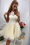 Cute A-line Halter Tulle Lace Short Prom Dresses for Teens-27Dress