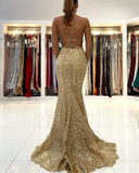 Elegant Long Mermaid Spaghetti Straps Backless Appliques Lace Prom Dress-27Dress