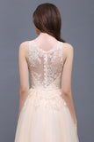 Elegant Tulle Lace Champagne Long Bridesmaid Dress With Appliques-27dress