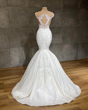 Exquisite Long Lace V-neck Sleeveless Mermaid Wedding Dresses-27Dress