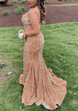 Glamorous Velvet Sequined Trumpet/Mermaid V-Neck Sleeveless Court Train Prom Dress-27dress