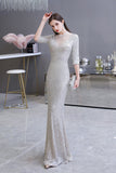 Gorgeous Silver Long sleeves Long Prom Dress-27dress