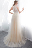 Long A-line Halter Appliques Lace Tulle Evening Dresses-27dress