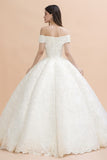 Luxury Ball Gown Off-the-Shoulder Sweetheart Wedding Dress Sleeveless Lace Satin Bridal Gowns On Sale-27dress